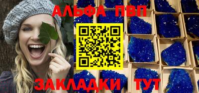 a pvp Новозыбков