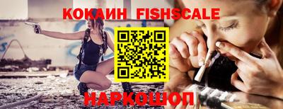 a pvp Новозыбков