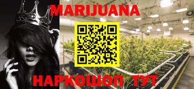 a pvp Новозыбков