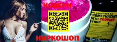 a pvp Новозыбков