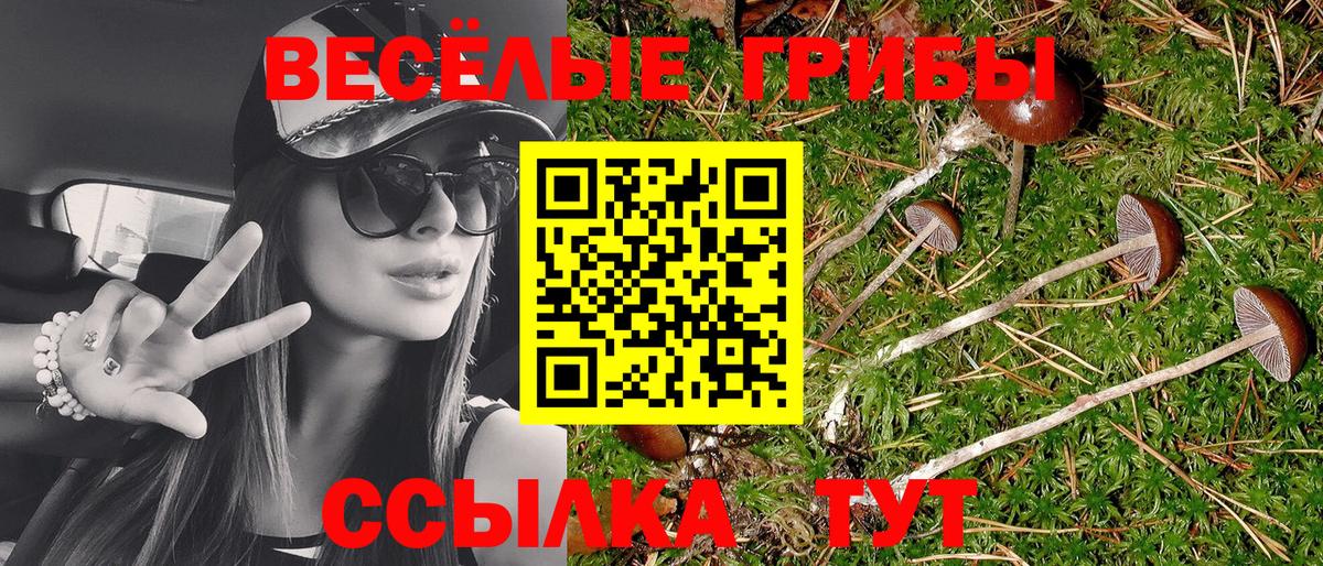 Туапсе  Галлюциногенные грибы Psilocybe  Вход с VPN 